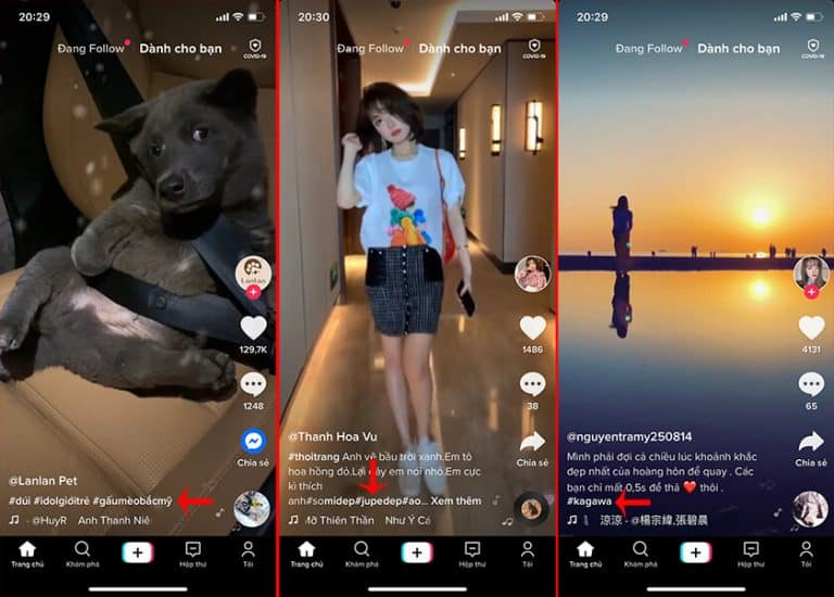 Cách tải video Tiktok không logo trên Android cực đơn giản