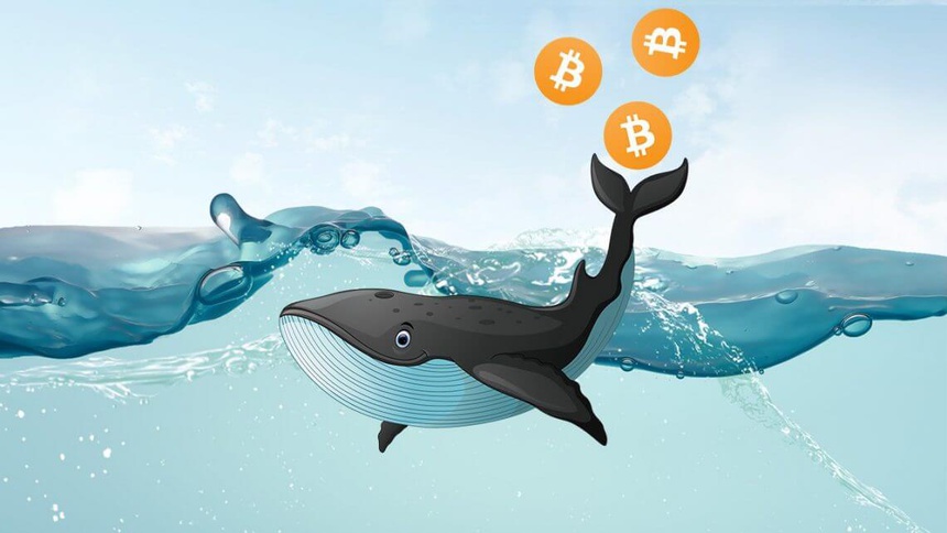 bitcoin_whale_2[1].jpg