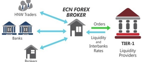 broker-ecn-1.jpg