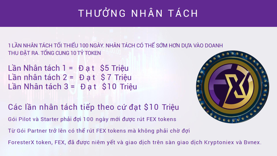 Co_che_nhan_tach_tokens.PNG