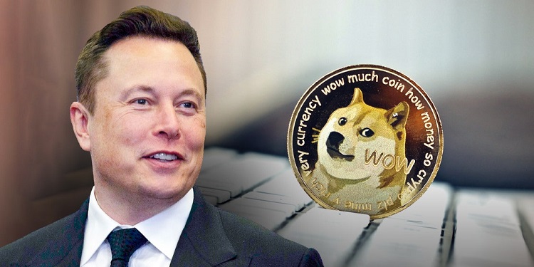 dogecoin.jpeg