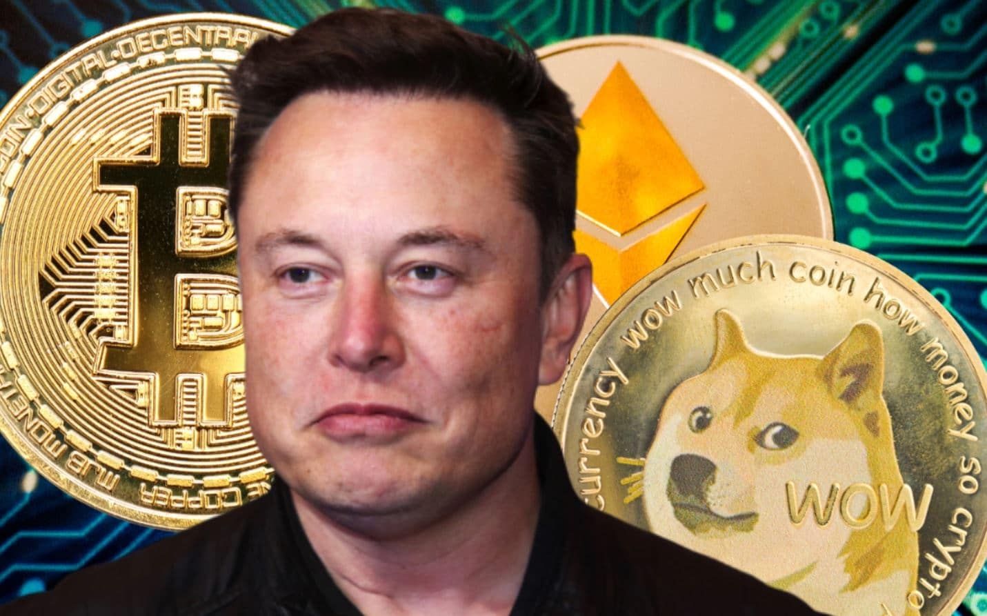 Elon-Musk-BTC-ETH-DOGE[1].jpg