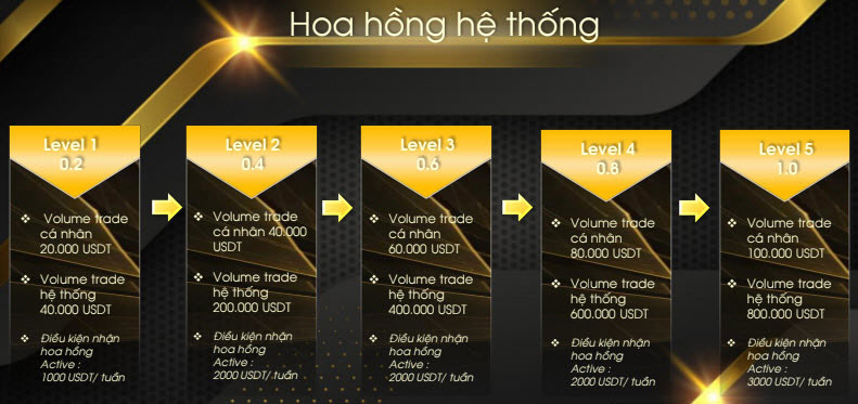 KingTrade-Hoa-Hong-He-Thong.jpg