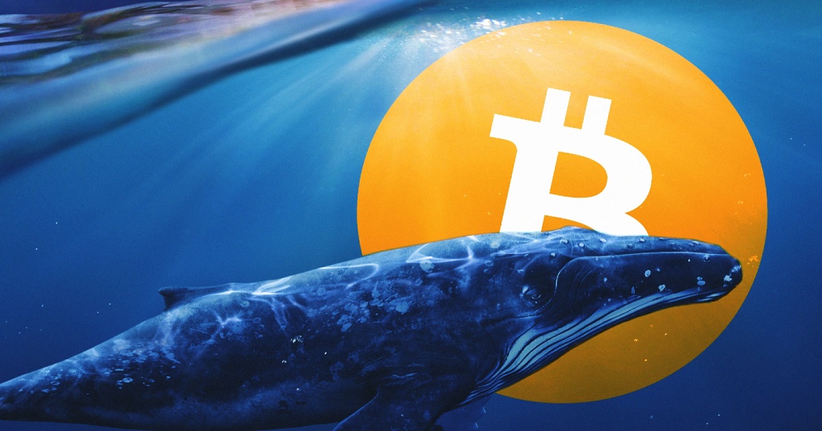 Whales-BTC-cover[1].jpg