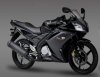 Black-Yamaha-R15-Picture.JPG