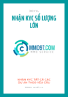 dịch vụ kyc số lượng lớn.png