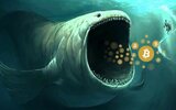 bitcoin_whale_[1].jpeg