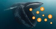 bitcoin_whale[1].jpg