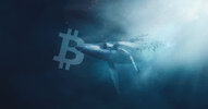 Bitcoin-whale[1].jpg