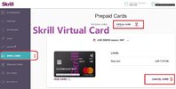 skrill-virtual-card.jpeg