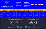 IP Japan.jpg