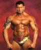 batista_the_animal-11900.jpg