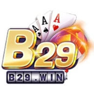 B29