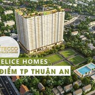 teccofelicehomesbinh