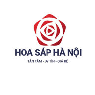 hoasaphanoi