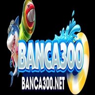 banca300net1